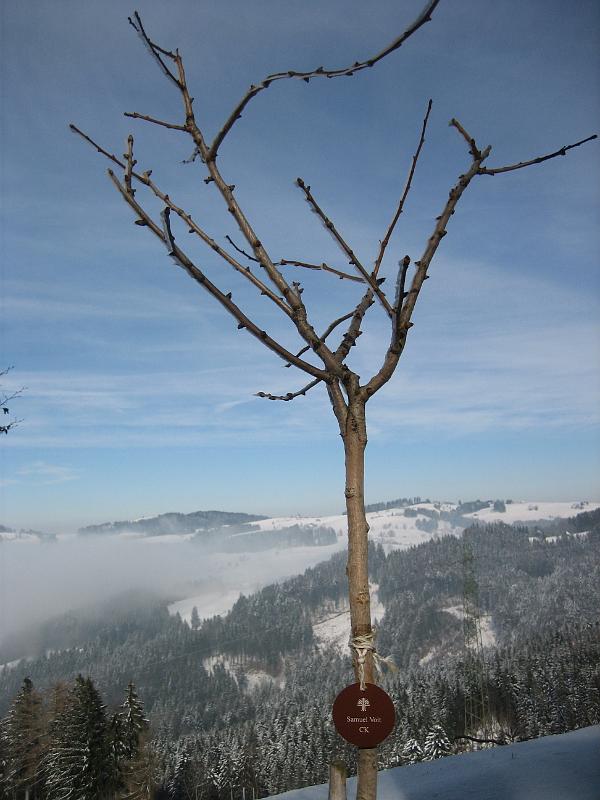 2010 02 09 D